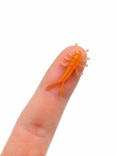 Avižadrėbio Akmenmusė – 3cm 10vnt.